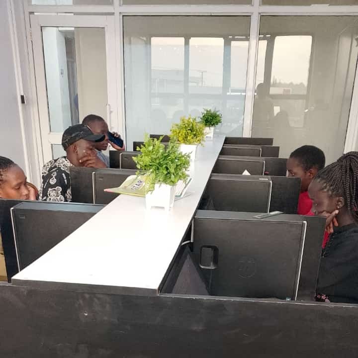 2010 - Lorem ipsum dolor sit amet